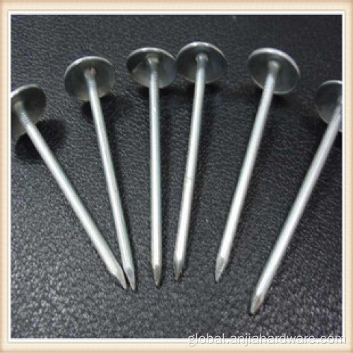 Iron Nail Supplies Whole Sales Construction Smooth Head Round Iron Nail Supplier